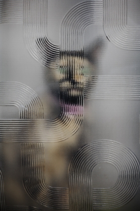 猫画像｜模様ガラス越しの芸術