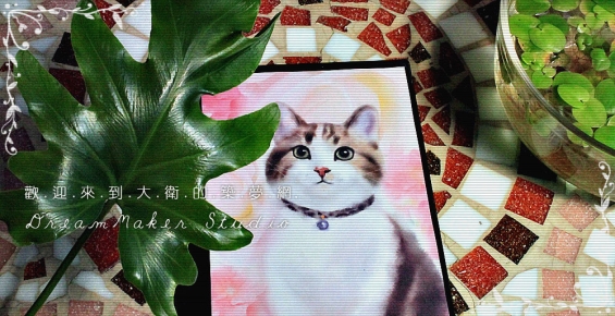 猫画像｜大衛畫貓2