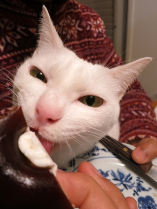 猫画像｜雪菜のグルメ　B級グルメ富士山パン