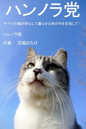 猫画像｜ポスター