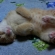 猫画像｜寝！！