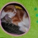 猫画像｜眠いニャン～ソラ・眠いニャン兄ちゃん