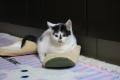 まーくんの成長