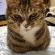 なぜ香ばしいのかにゃん？メルでーす！