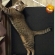 猫画像｜ガオ――――！メルでーす！