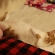 猫画像｜眠りニャ～す♡メルでーす！