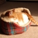 猫画像｜新しいベッドだニャ♡メルでーす！