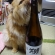 猫画像｜ぽん酒好き