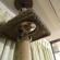 猫画像｜初タワー上階に登った日