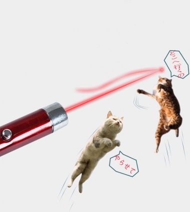 猫画像｜Fly cat htpow laser