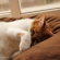 眠いニャ～♡メルでーす！